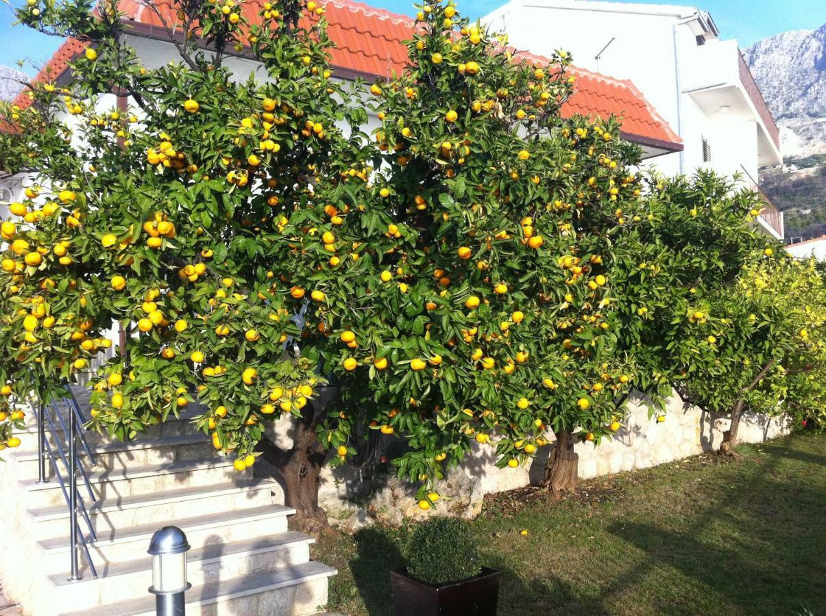 Villa Old Olive, 3Lovelyvillas 伯德古拉 外观 照片